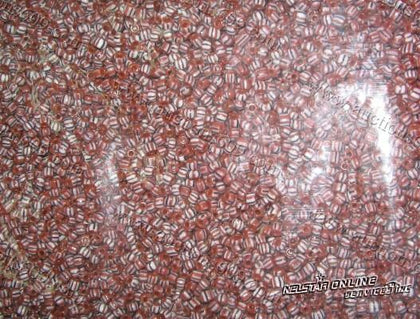 Santeria Beads by pound - Yoruba Relgion