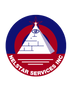 Nelstar Services