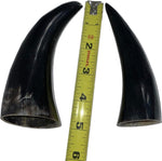 Bull Horn Buffer pair - Tarro de Toro pulido Pareja