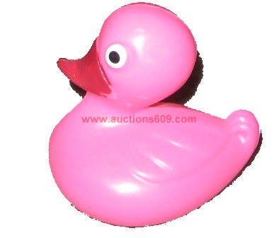 Duck Pink- Pato Rosado