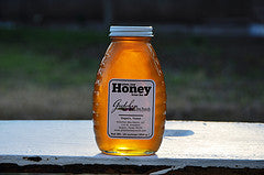 Botella Miel 16 Oz- Honey Bottler 16 Oz