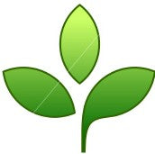 Paquete completo  de Hierbas para Obatala-Bunch of plants for Obatala