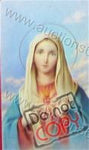 Oracion A Nuestra Senora De Sagrado Corazon